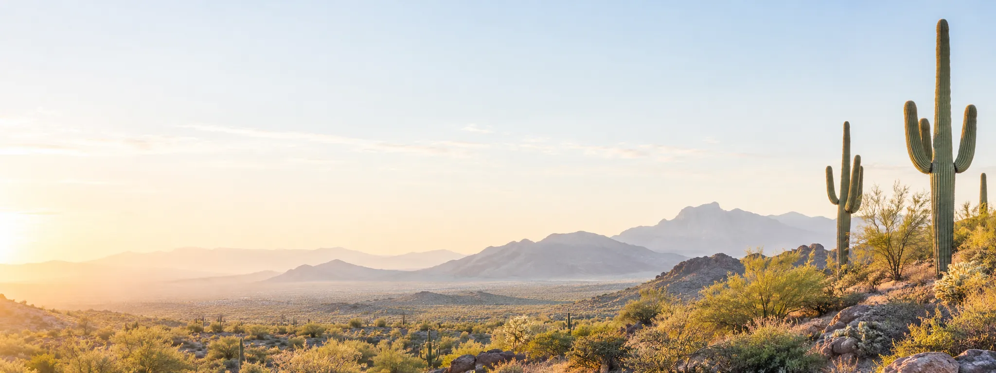 Sonoran Desert landscape with mountains and saguaros